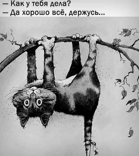 Жизнь с каждым днём становится всё сложнее и при этом интереснее!
