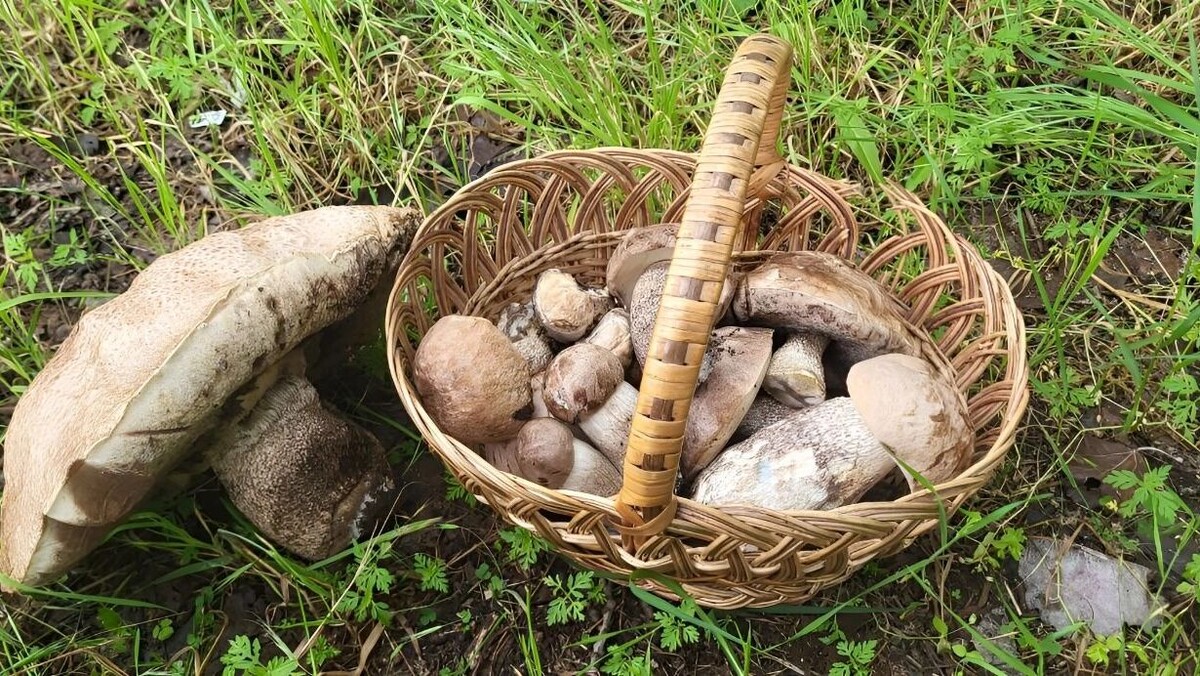     Источник: transsibinfo.com