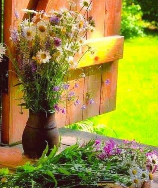 Фото из интернета 