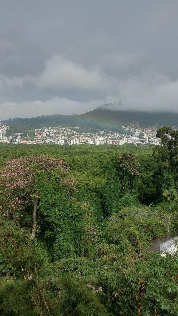 Вид из новой квартиры