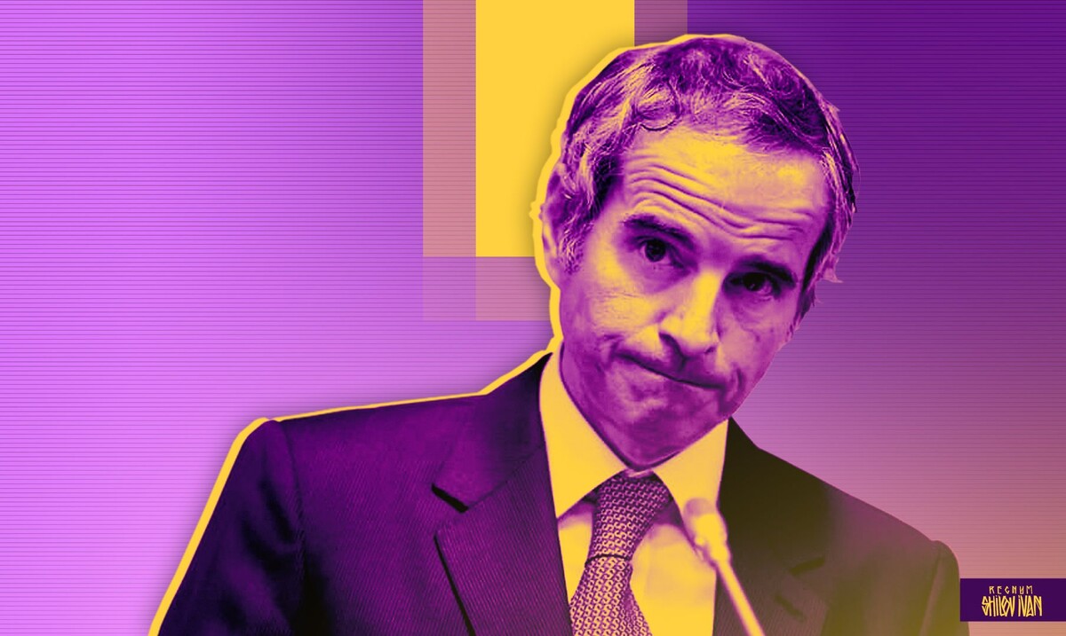    Рафаэль Гросси / Источник: Иван Шилов (с) ИА REGNUM