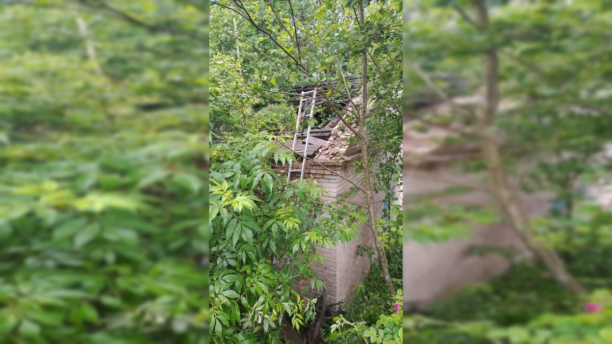    Фото: пресс-служба Прокуратуры ЛО