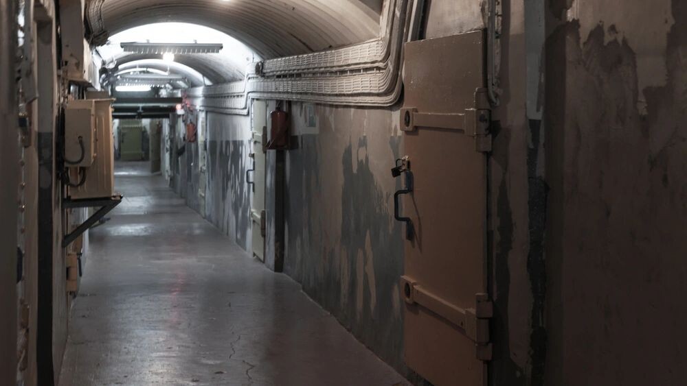    Фото: Evannovostro/Shutterstock/Fotodom