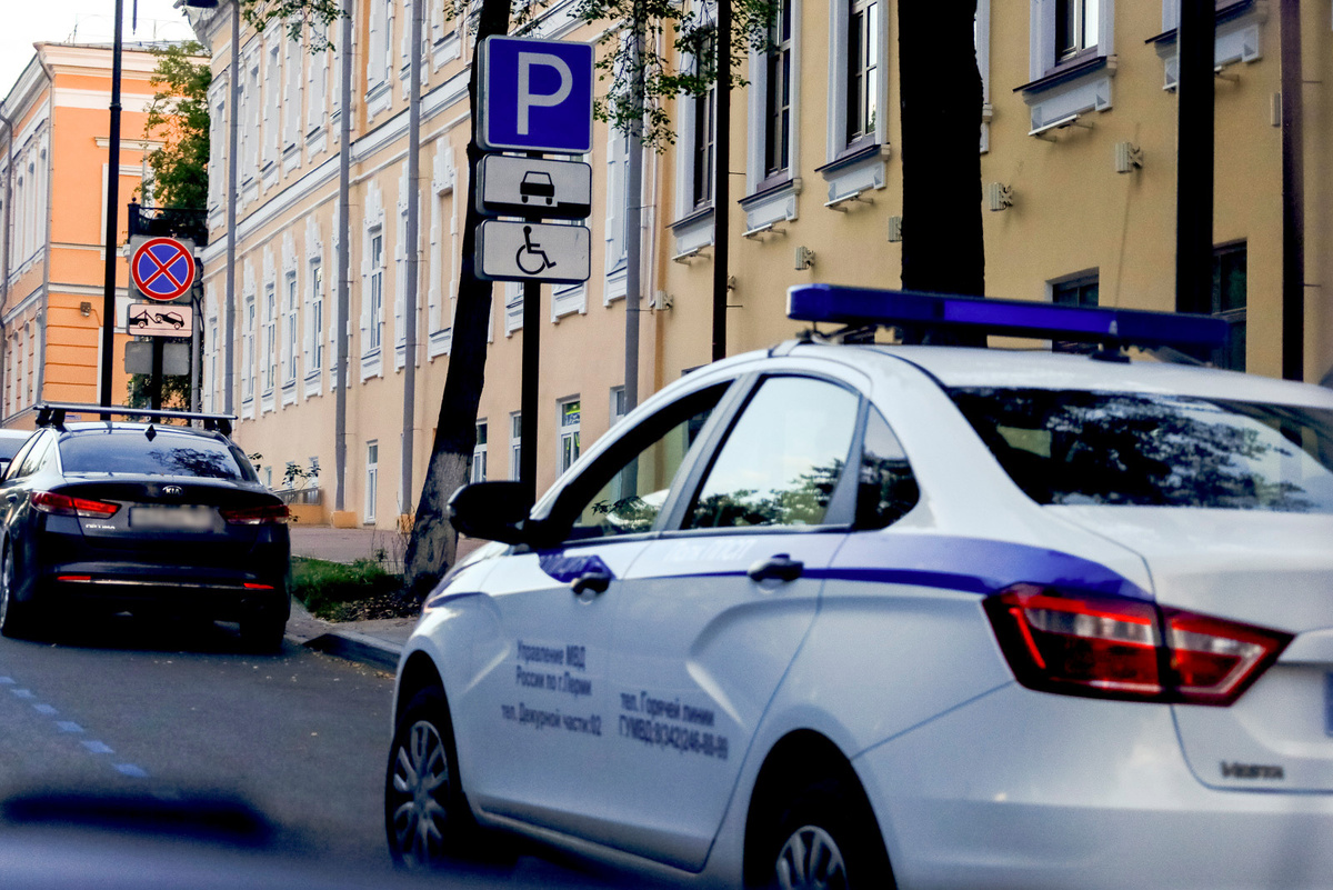 Правоохранители взялись за нелегальные ночные гонки на Русском острове.  Фото: Фото: ФедералПресс / Елена Майорова