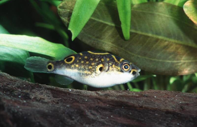    Фото: А. Hartl/Globallookpress