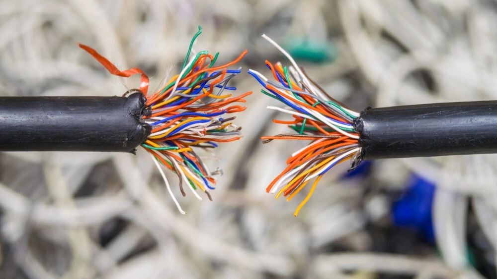    Фото: Maximum/Shutterstock/Fotodom