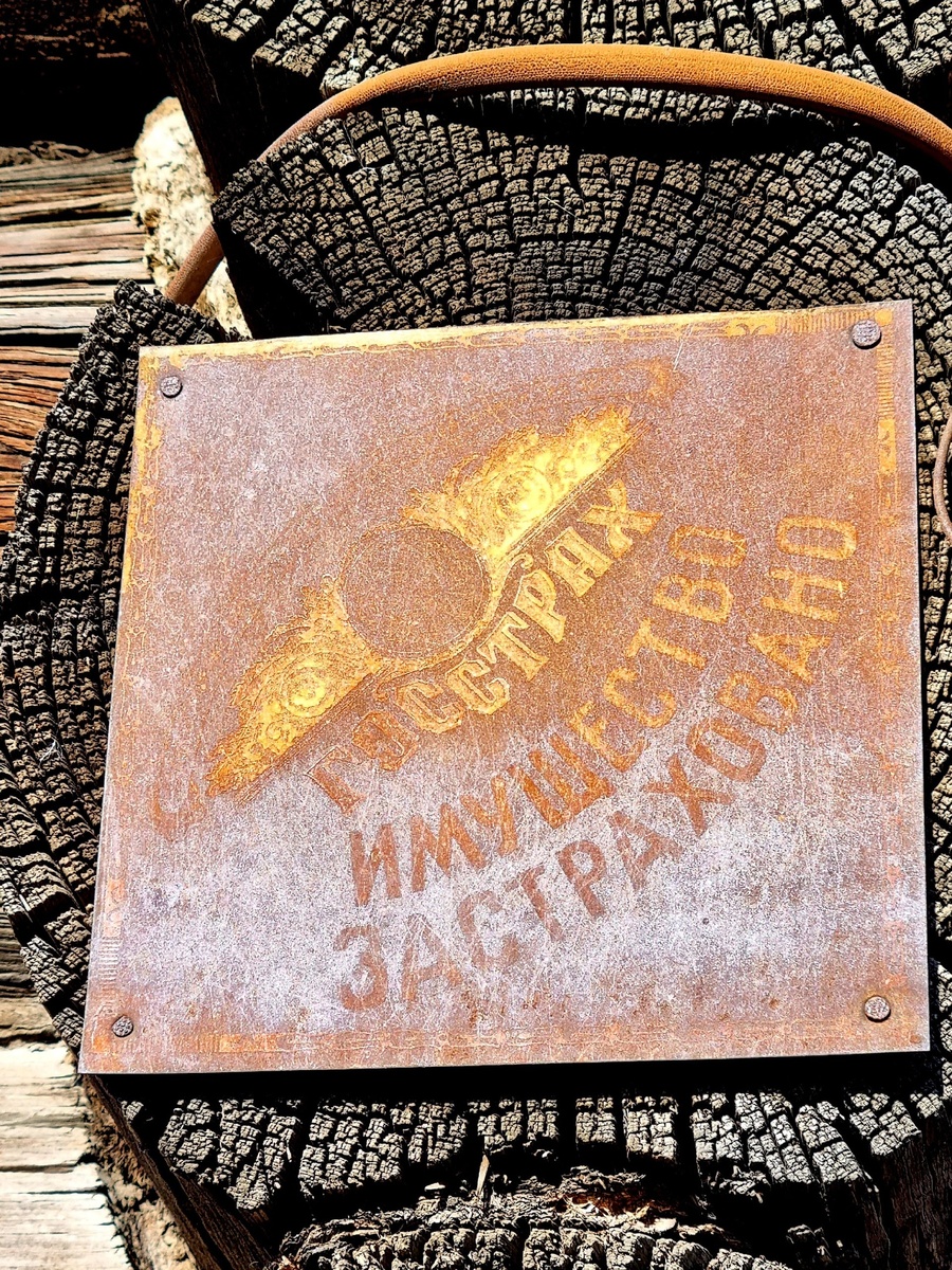 фото Нины Загребиной