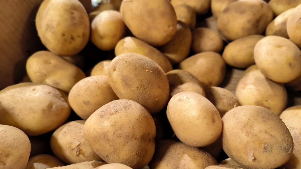    Фото: Maksim Konstantinov/Global Look Press/Globallookpress