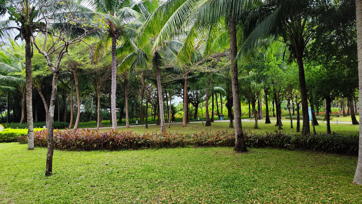 Парк вдоль набережной Санья Бэй. 