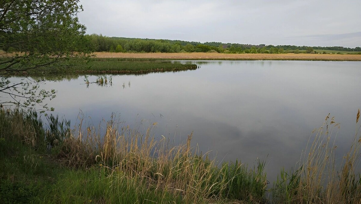     Источник: 1MI