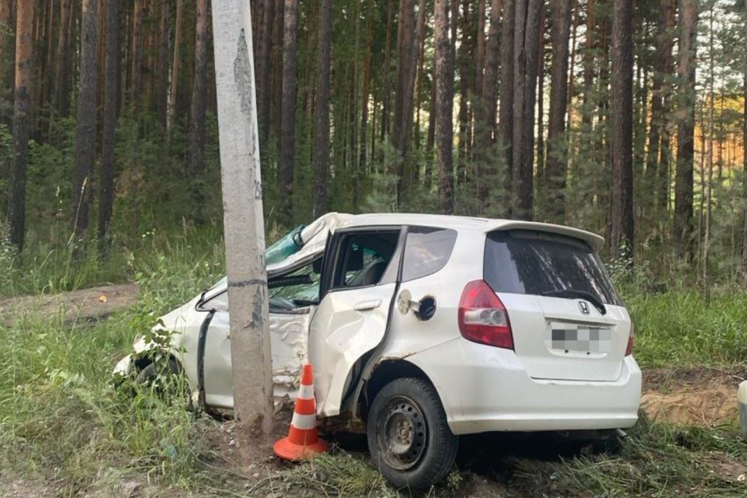    Фото: "Россети Новосибирск"