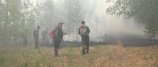 Дождь помог придавить кромку пожара около Зыково