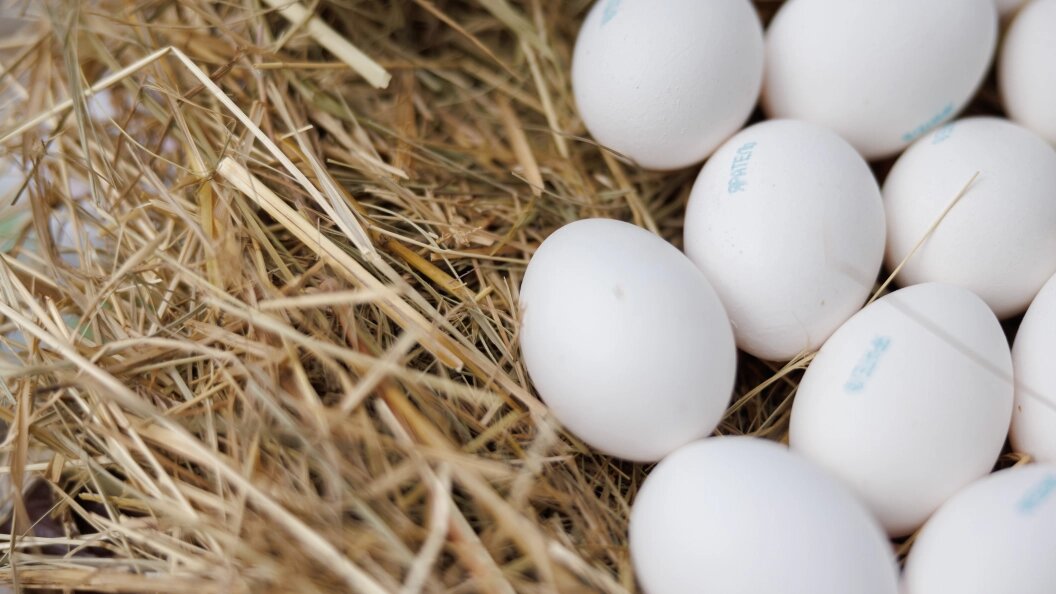    фото: Sergey Elagin/Business Online