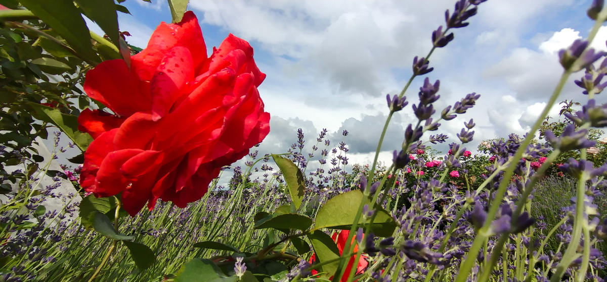 Личное фото