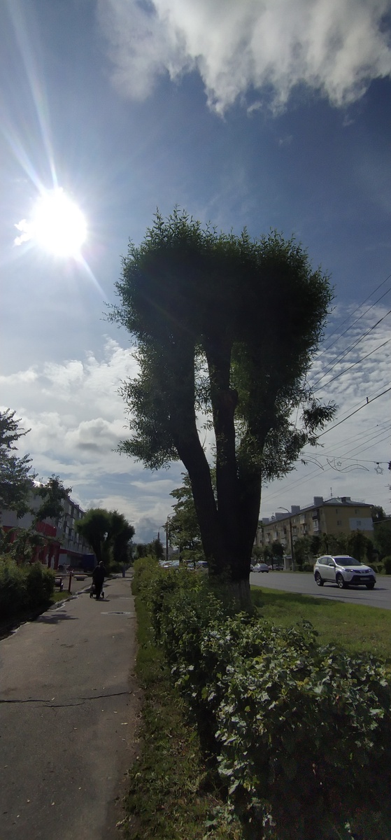 Личное фото