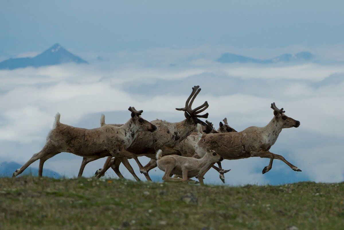 © Фото: Алексей Безруков