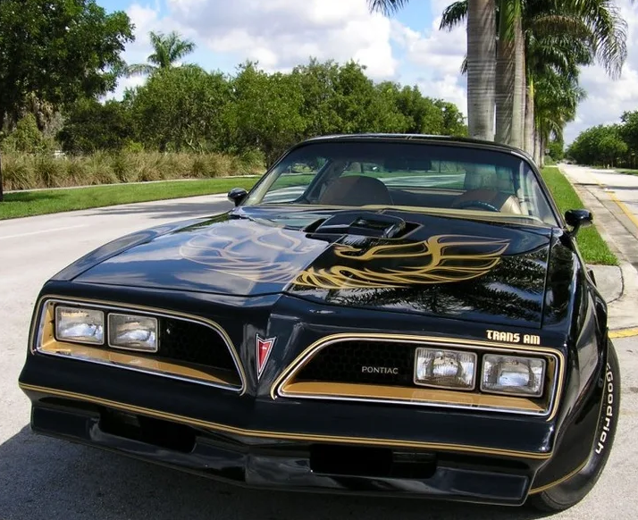 Щелк! И этот взгляд менял всё. 