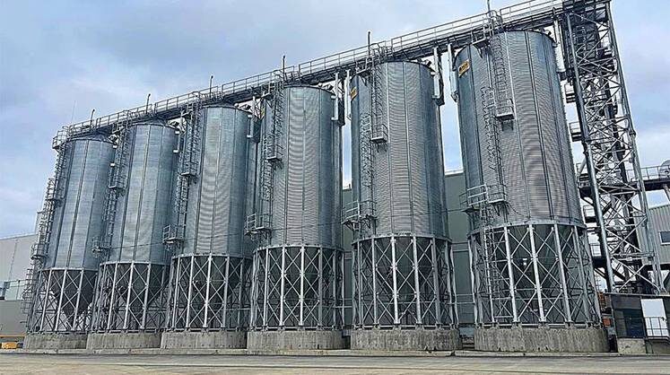     И рыб накормим сами