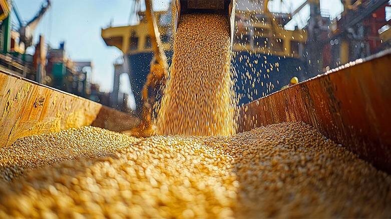    А.ПОГИБА/СОЗДАНО ИИ/NEWS.RU/ТАСС: Для контроля качества на место погрузки зерна будет выезжать аккредитованный платформой экспедитор