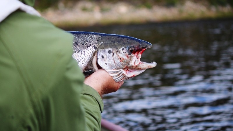      Фото: @EyeEm / freepik.com