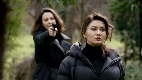 Фото из интернета. Ошибка Зейнеп.