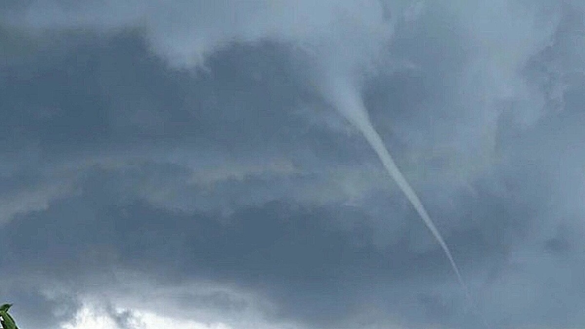     Автор: Телеграм-канал Благовещенская MORE_BLAGA Источник: t.me/More_Blaga