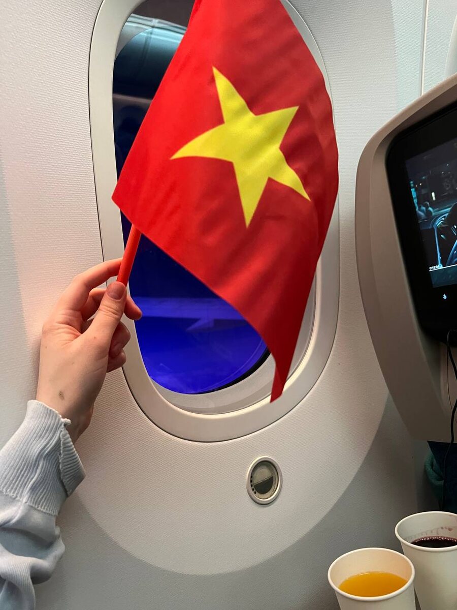 Вьетнамские авиалинии