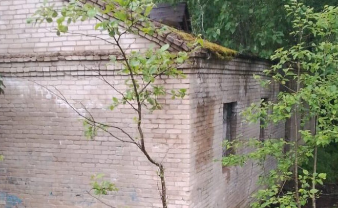    © Пресс-служба прокуратуры Ленобласти