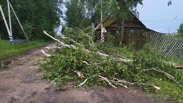    © МЧС Беларуси