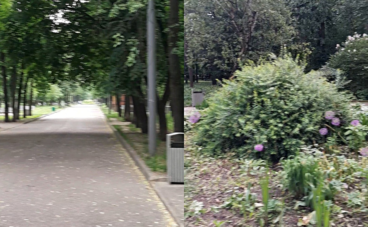 Фото автора Петровский парк