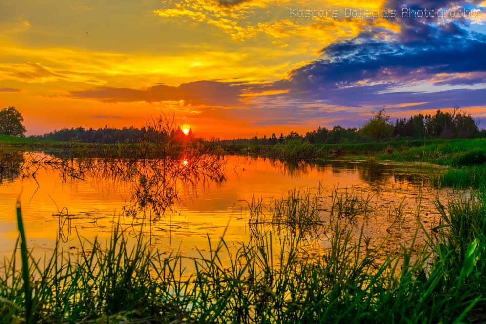 картинка из интернета