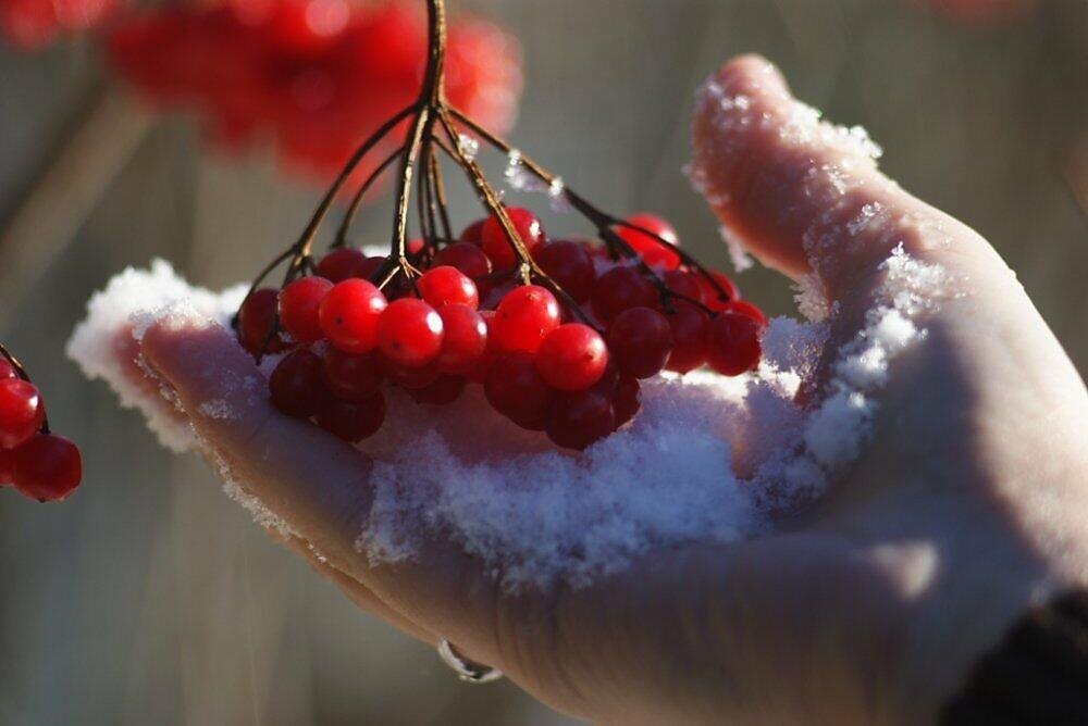 картинка из интернета