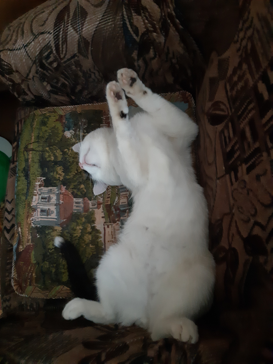 Идеальные ПЧМ.