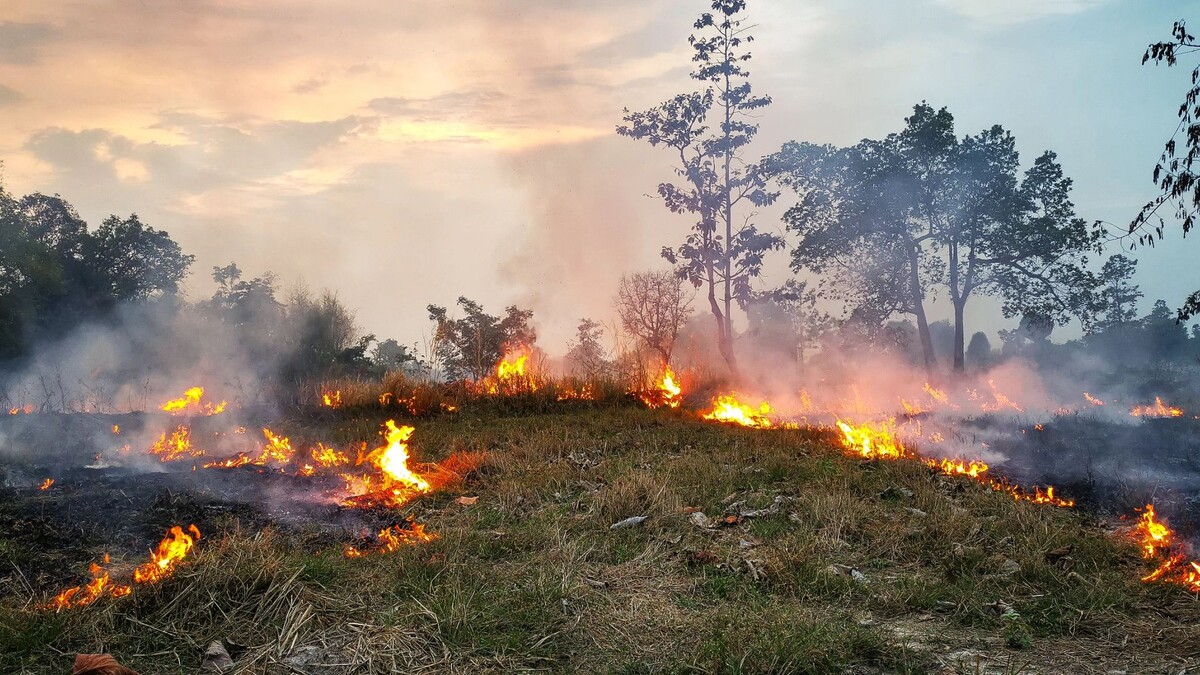    Фото: pangploy/Shutterstock/Fotodom