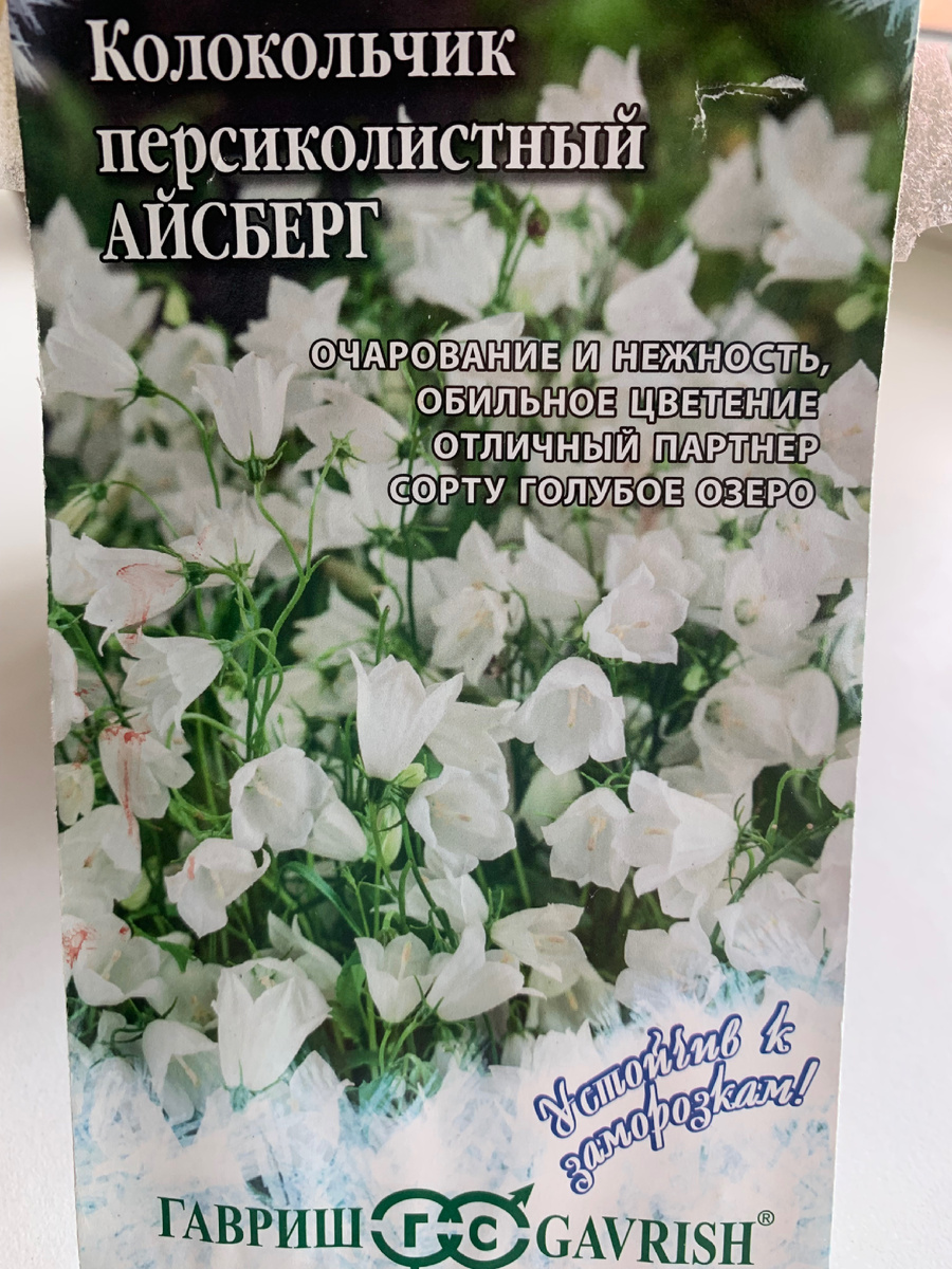 колокольчик