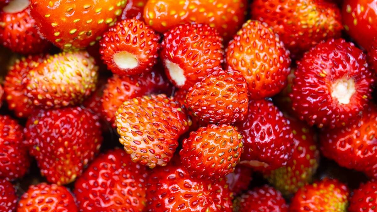    Фото: Shutterstock