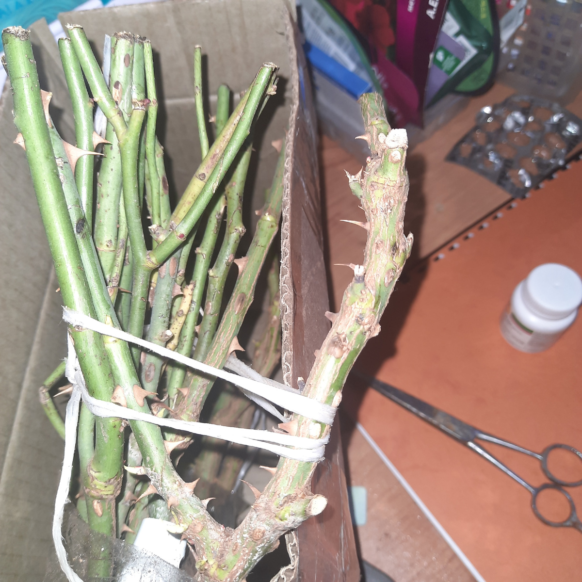 Качество было отличное