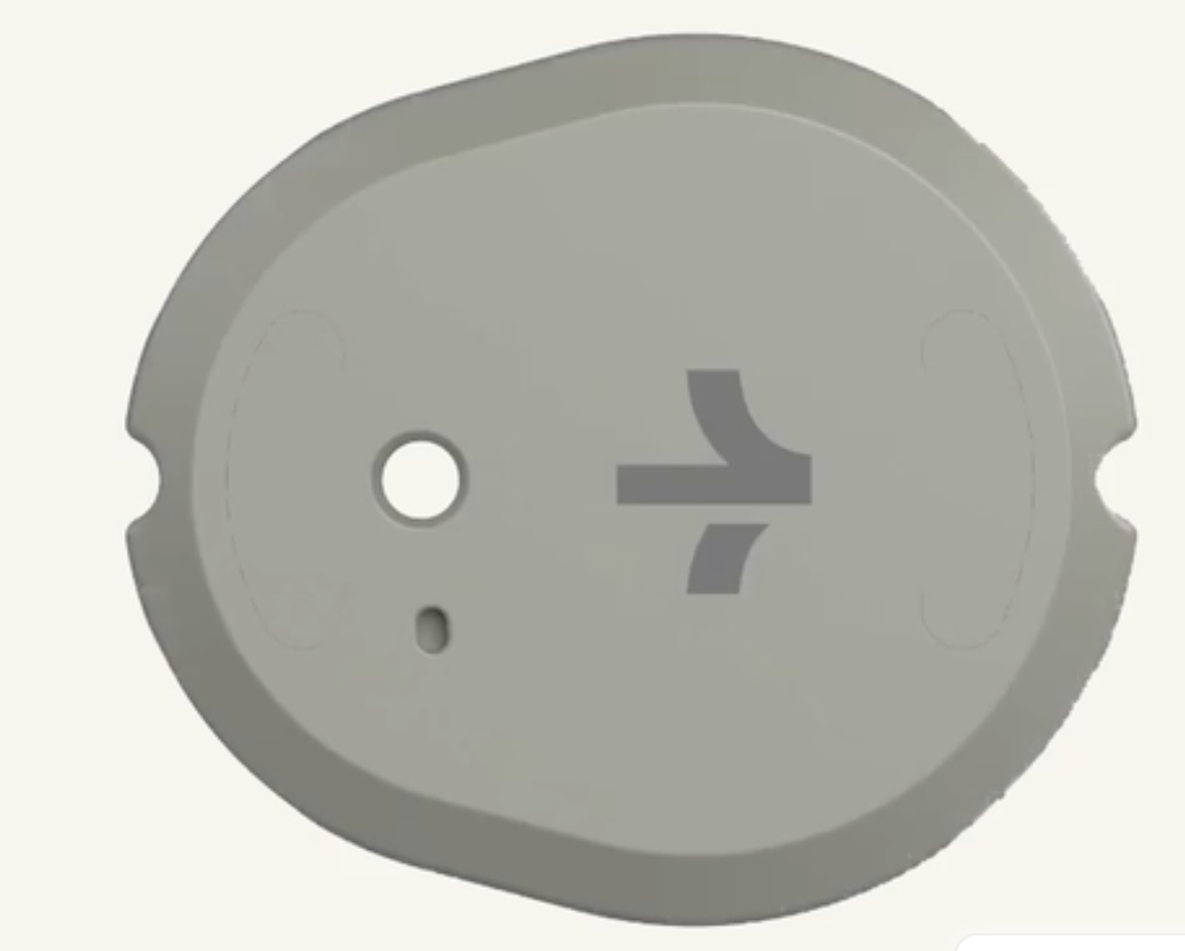 CGM. Источник: https://www.stelo.com