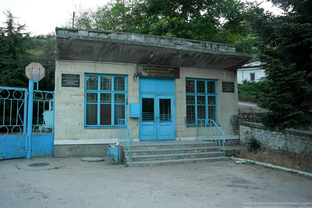 Фото из сети интернет, свободный доступ. / Современный вид.