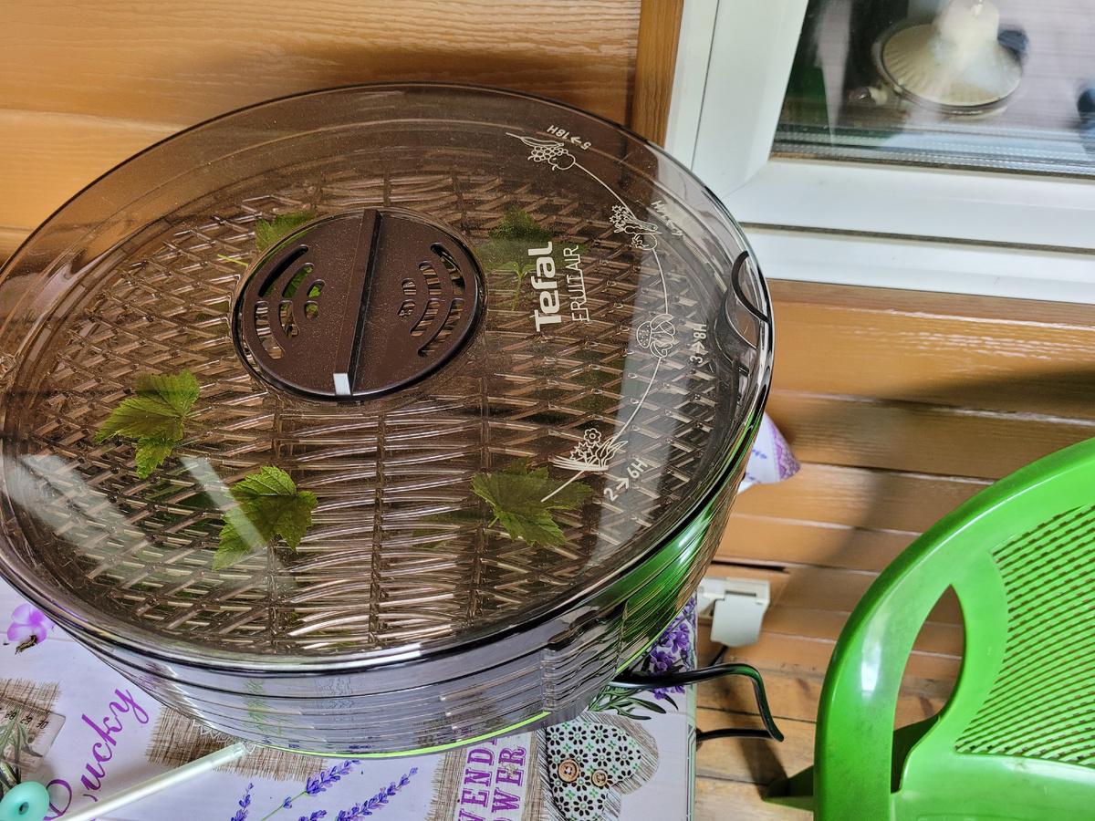 Сушу листья для чая