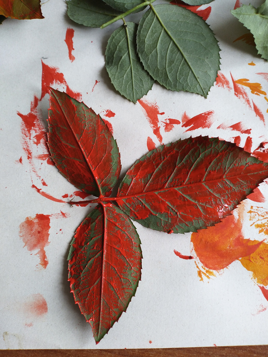 Нанесла краску. 