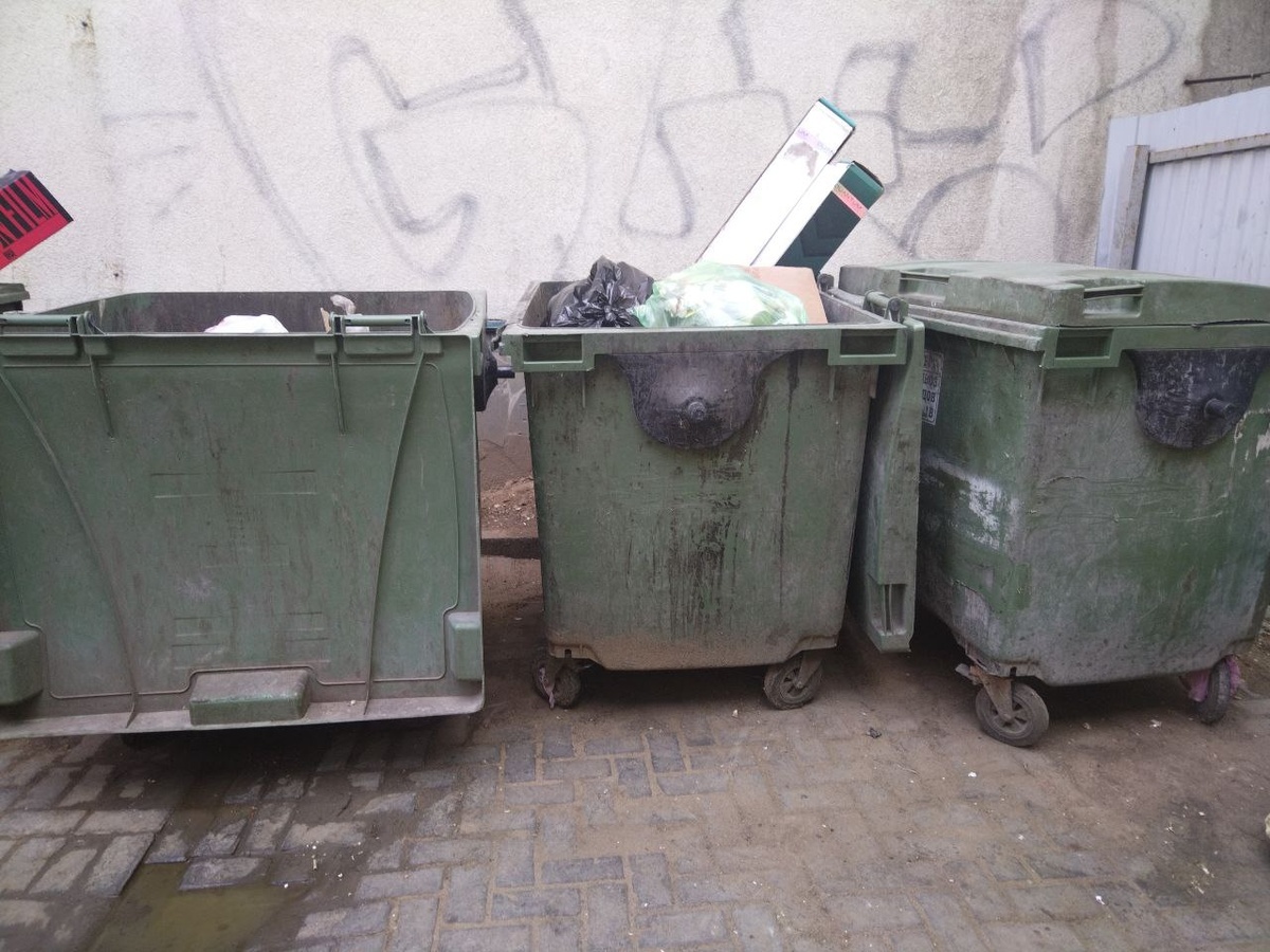    Фото: архив progorod