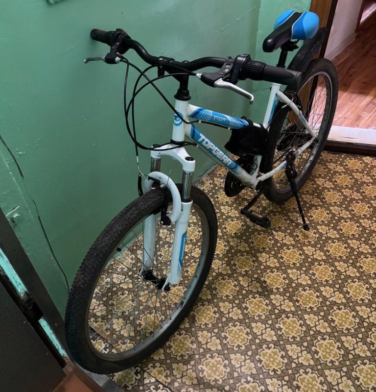    Подросток из Оренбурга похитил велосипед Мария Чалкина