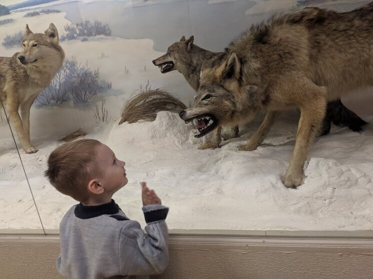     фото: мк в вологде