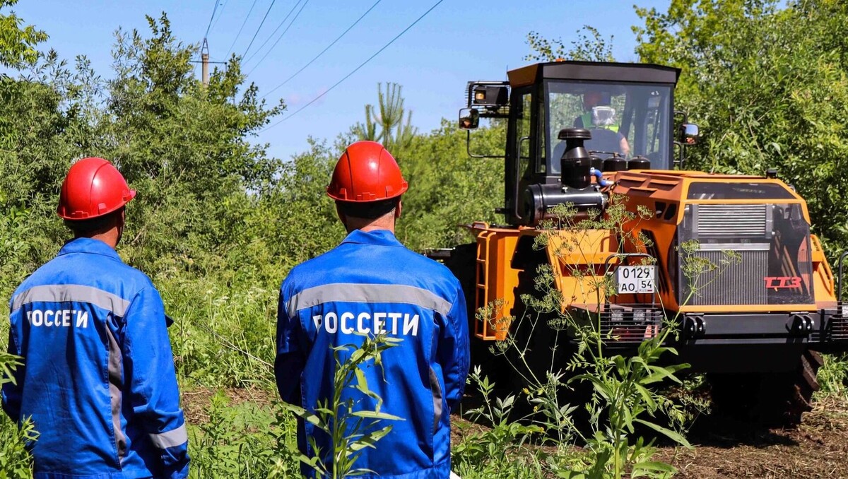     Источник: «Россети Новосибирск»