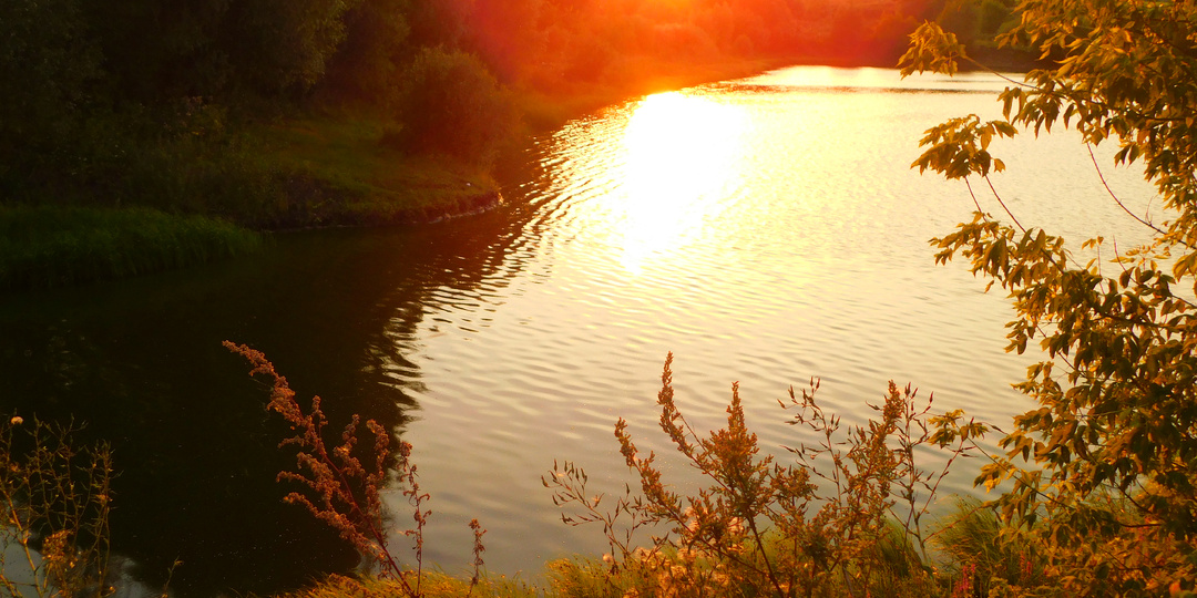 Деревенская история (часть 44)