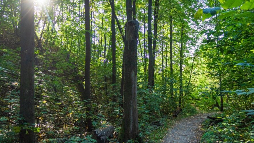    Фото: KazanFirst