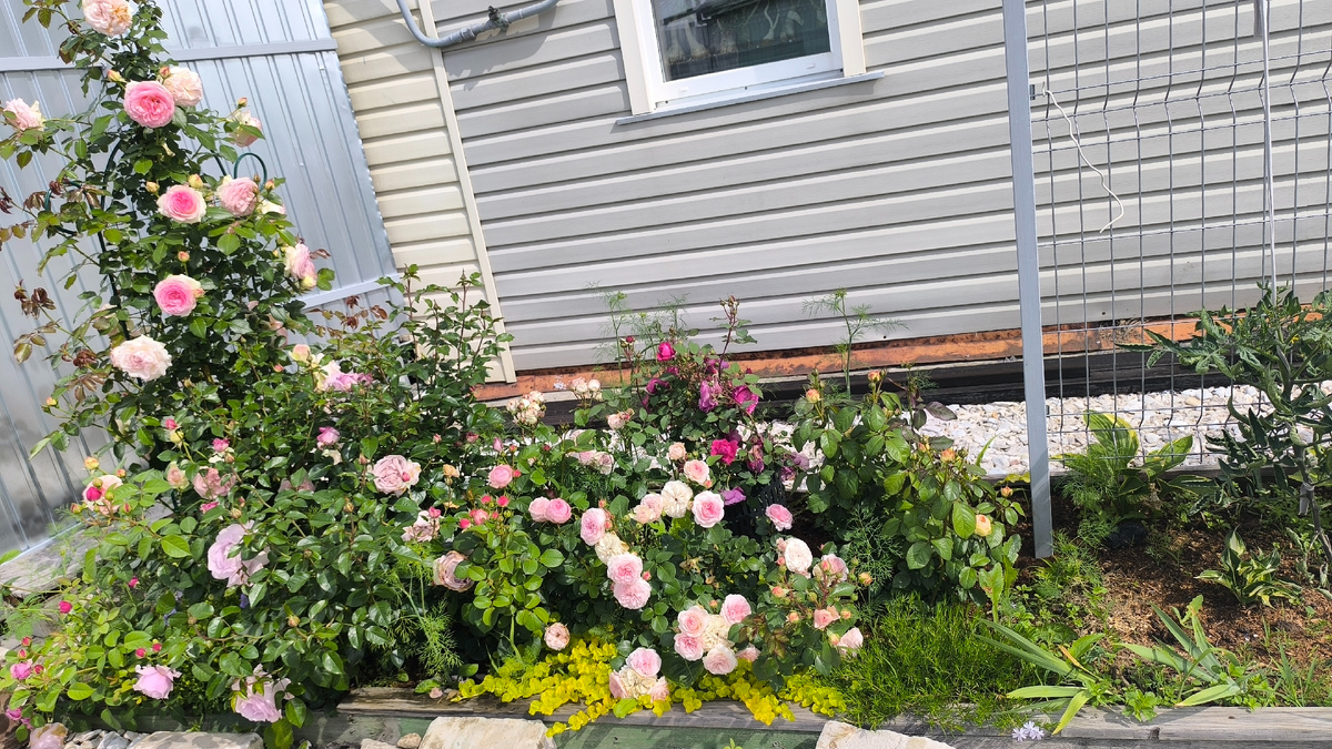 На прошлой неделе 22,06,25 листайте в право....