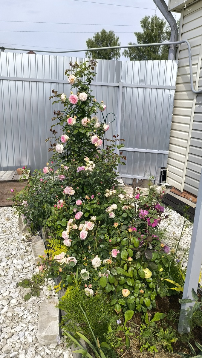 Неделю назад, пролистайте в право ...