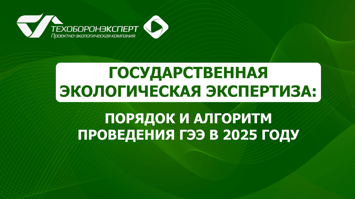 Государственная экологическая экспертиза: порядок и алгоритм проведения ГЭЭ в 2025 году.